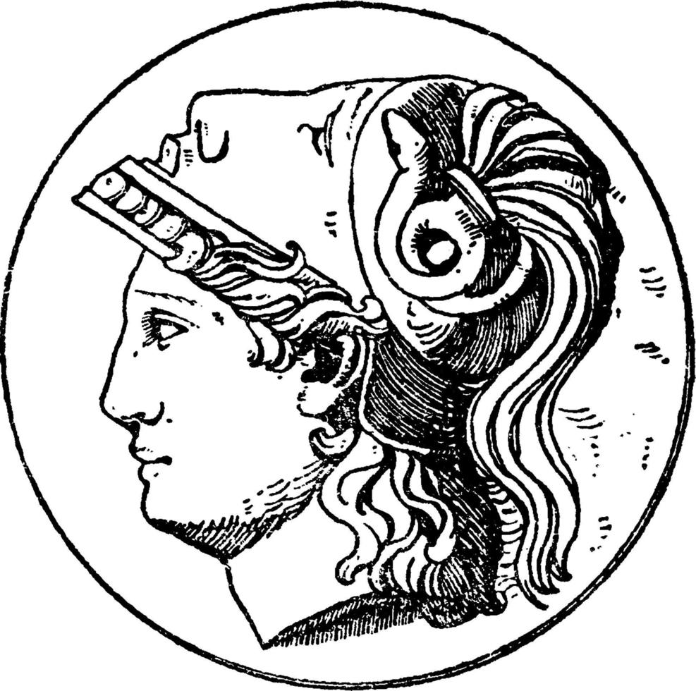 Minerva vintage illustration. vector