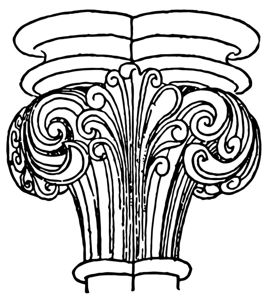 Capital, lotus,  vintage engraving. vector