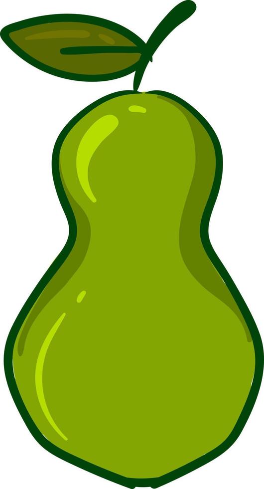 Guava fruit, illustration, vector on white background.