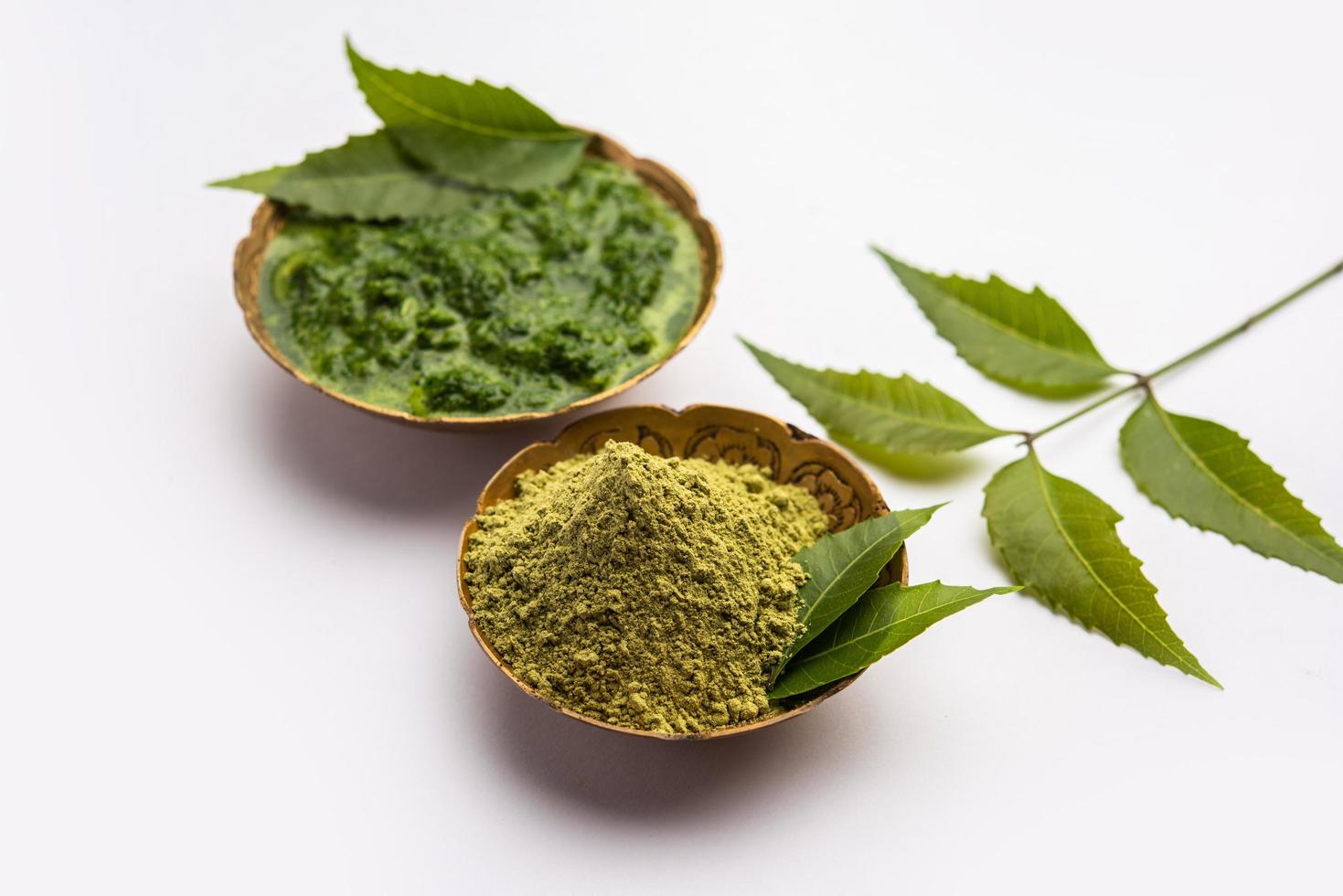 Neem Powder, paste and juice. Azadirachta indica or commonly known as nimtree or Indian lilac photo