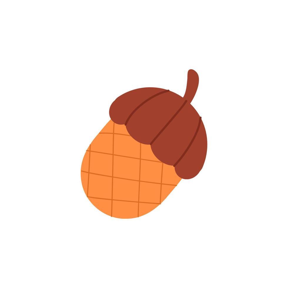 Acorn, oak nut and seed. Flat vector illustration