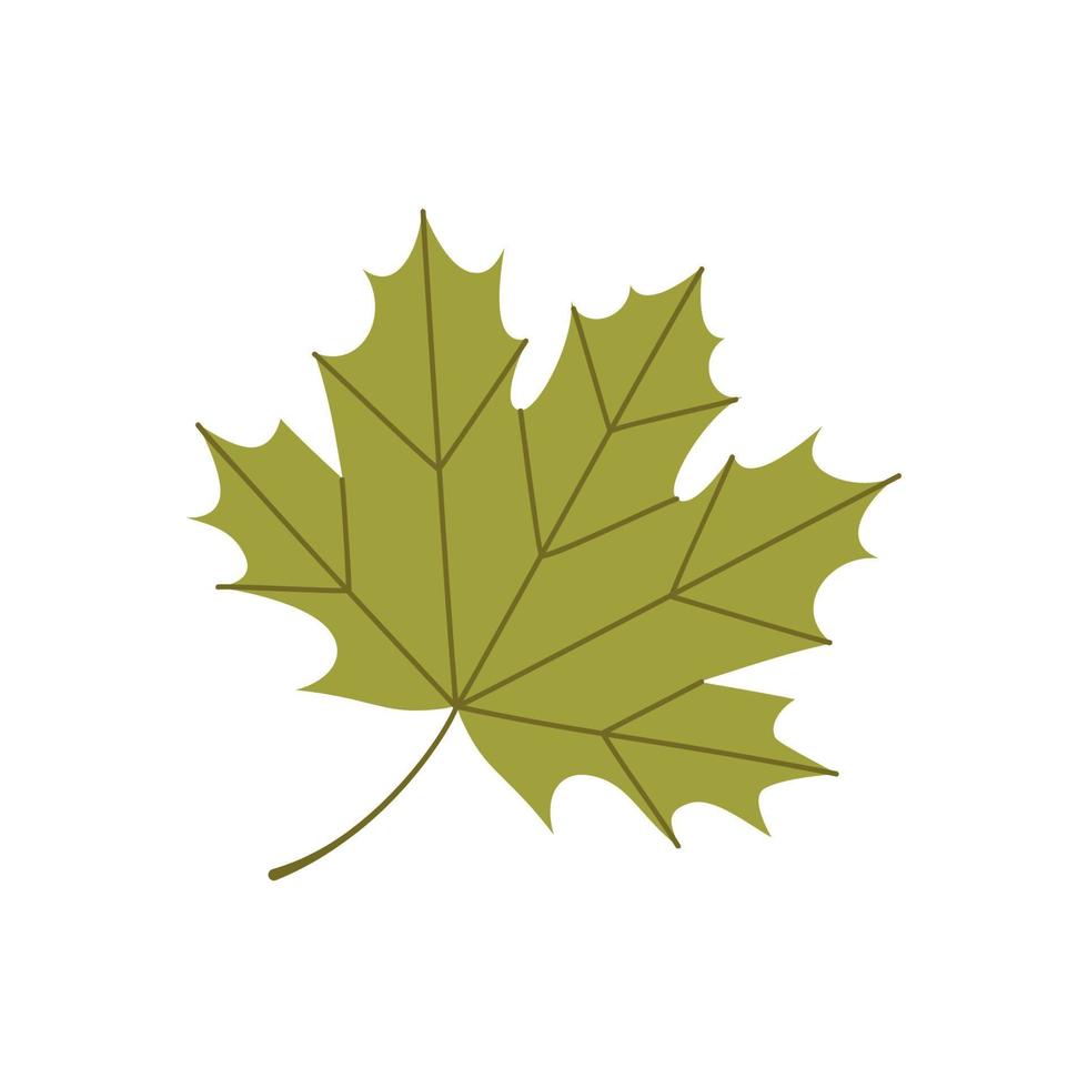 Autumn maple leaf. Flat vector illustration.