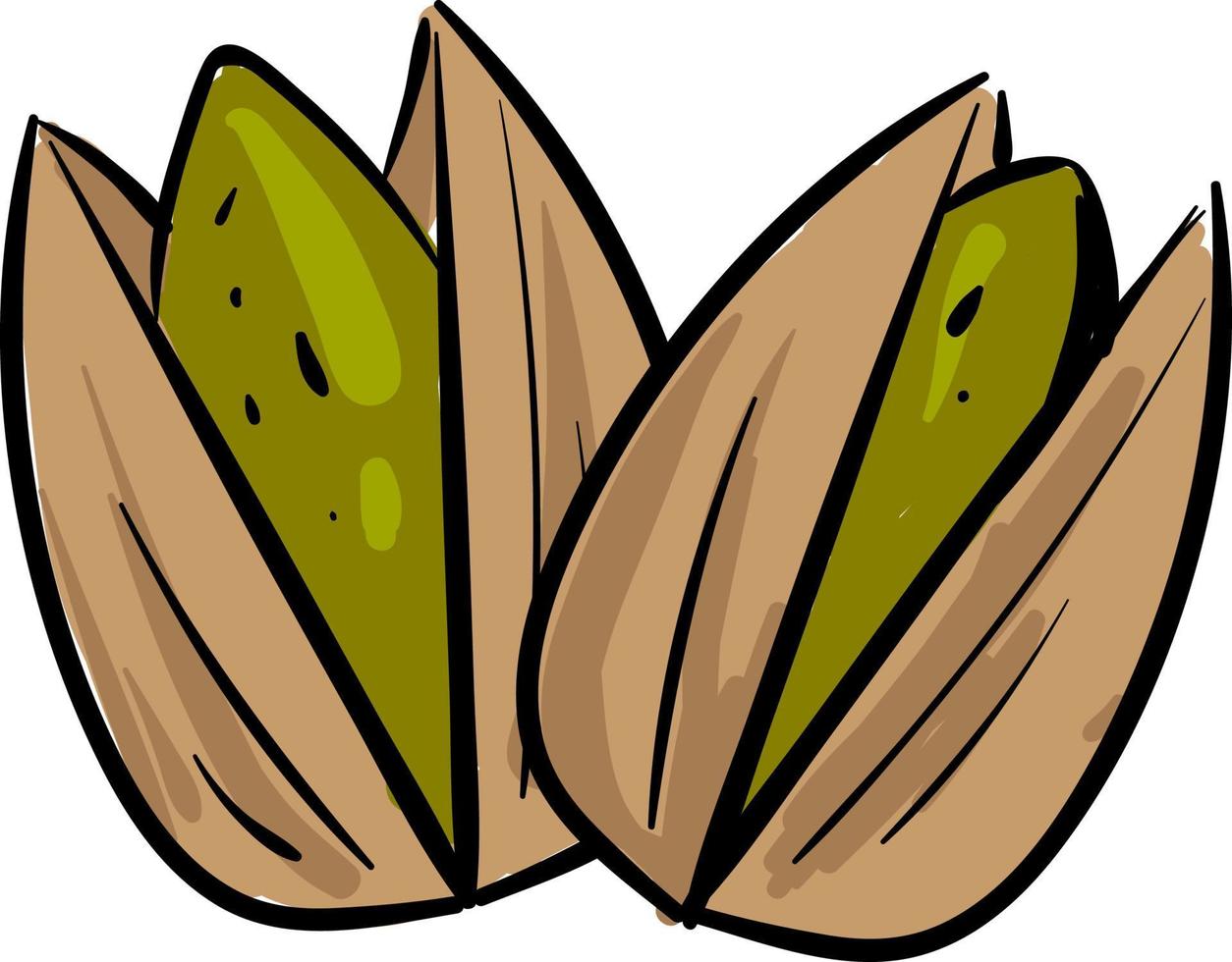 Open pistachios, illustration, vector on white background