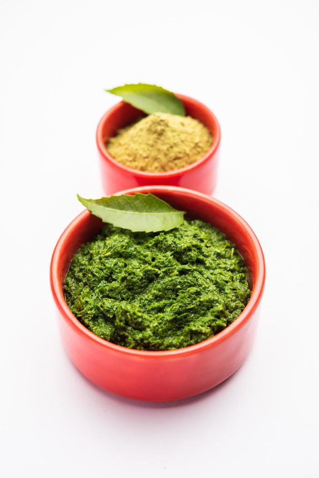 Neem Powder, paste and juice. Azadirachta indica or commonly known as nimtree or Indian lilac photo