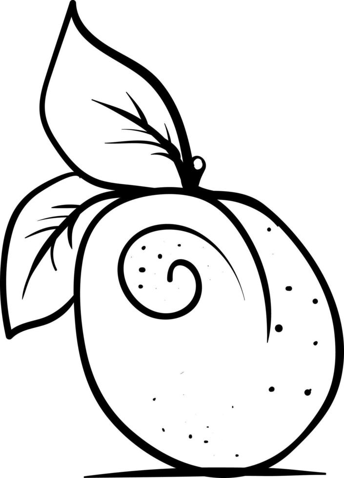 Apricot sketch, illustration, vector on white background.