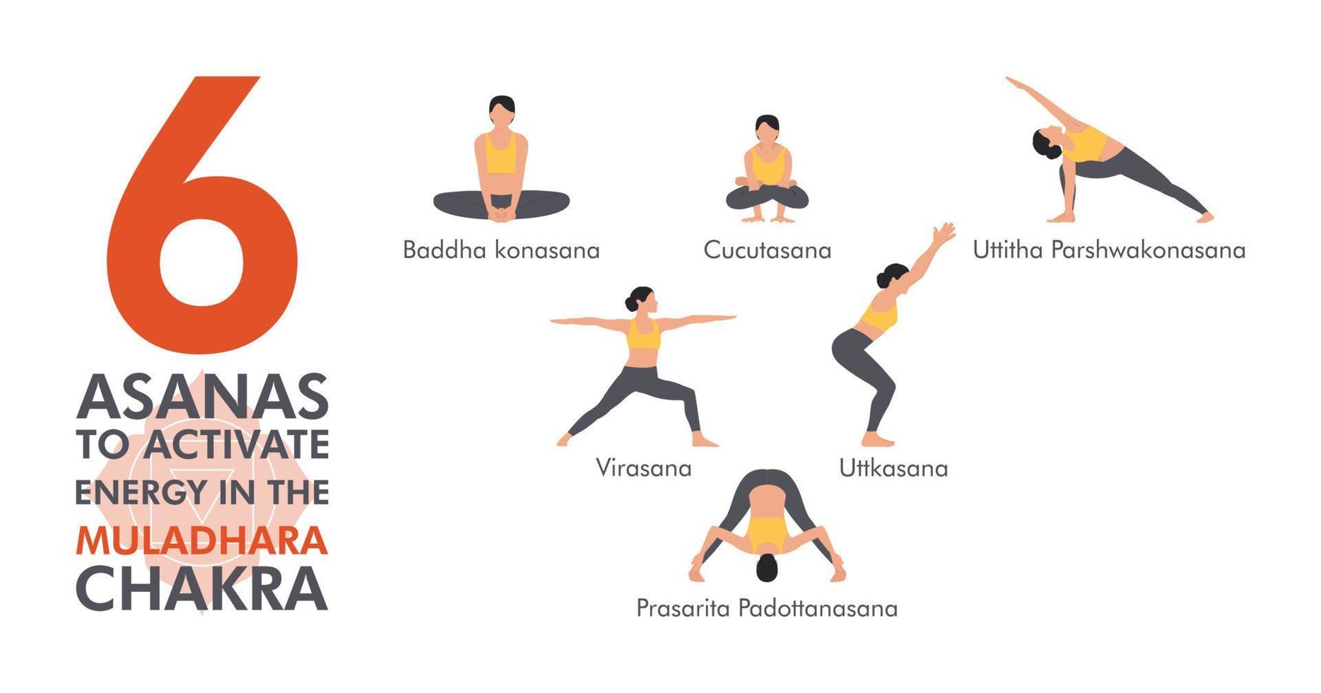 una colección de 6 asanas para el chakra muladhara. mujeres jóvenes que realizan ejercicio físico. conjunto de personajes femeninos que demuestran posturas de yoga, aislados en fondo blanco. ilustración vectorial vector