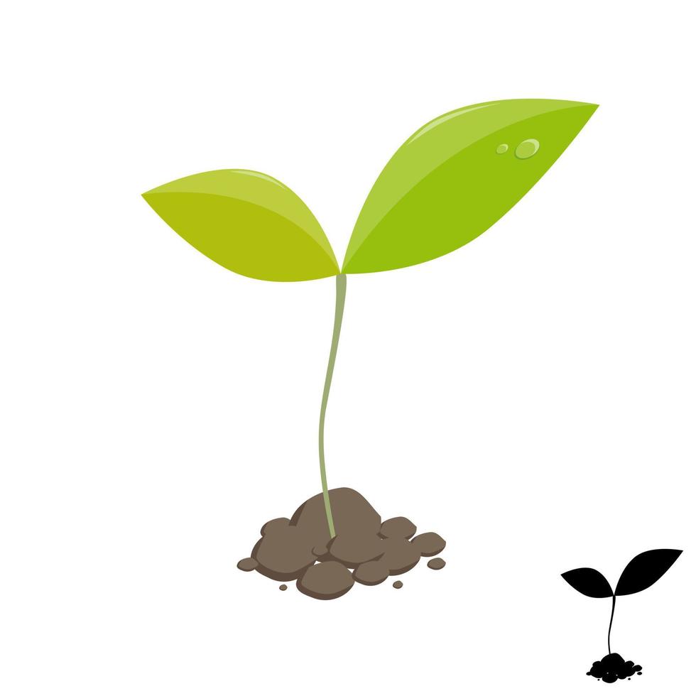 Little plant sprout vector