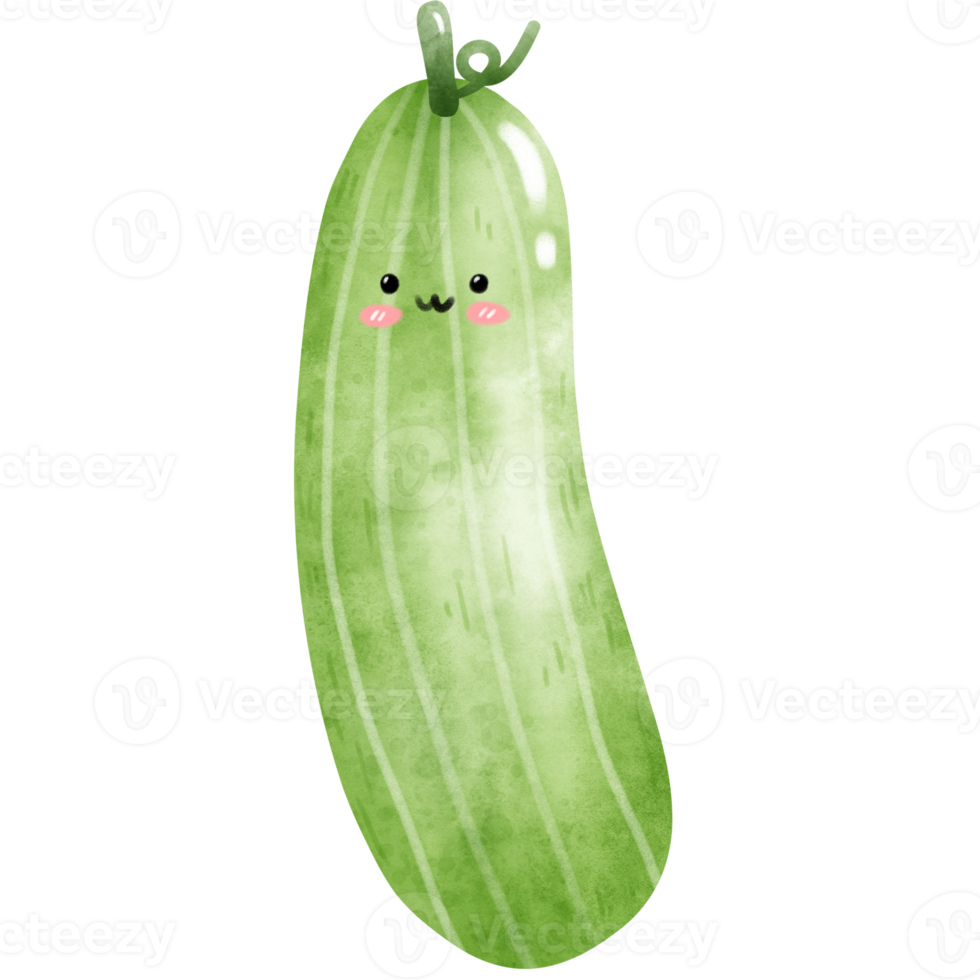 kawaii cucumber in watercolor png