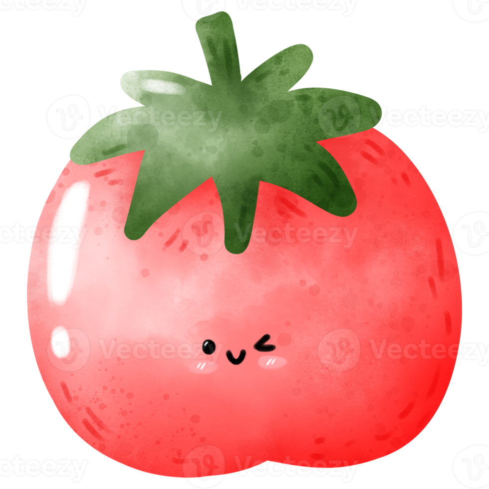 cute tomato in watercolor png