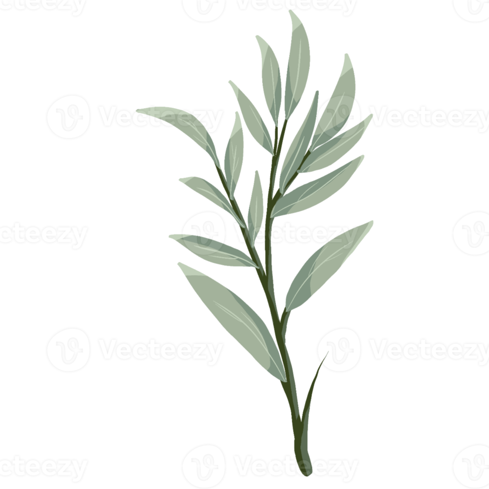 Home and Wedding Decor with Plant png