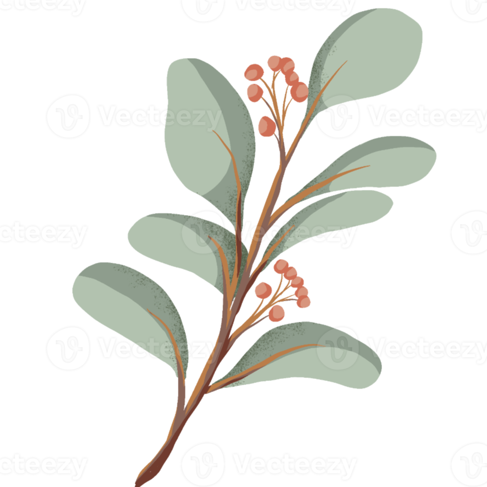 Home and Wedding Decor with Plant png