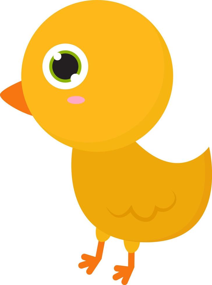 Poco lindo pollo, ilustración, vector sobre fondo blanco.