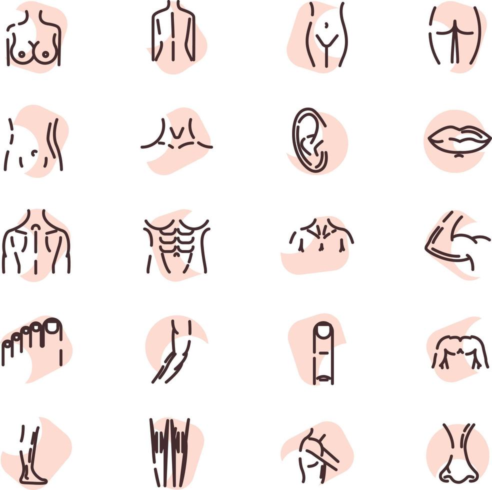 Body parts, illustration, vector on a white background.
