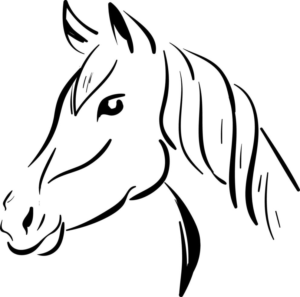 A horse sketch, vector or color illustration.