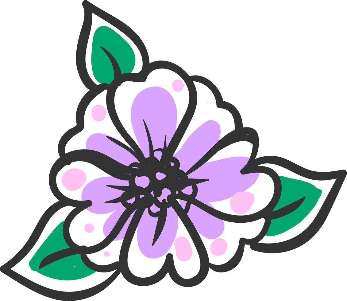 Jasmine drawing, illustration, vector on white background.