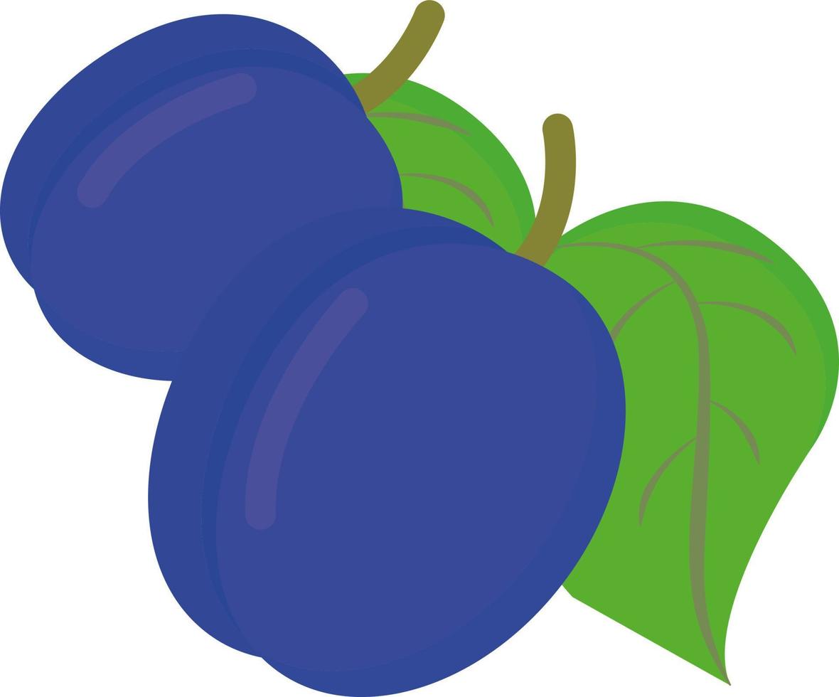Blue plum, illustration, vector on white background.