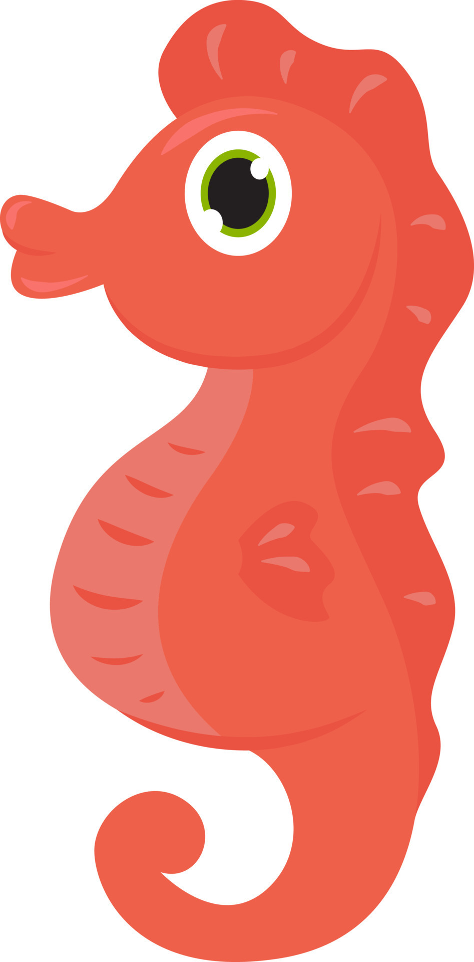 Red baby seahorse, illustration, vector on a white background. 13756861  Vector Art at Vecteezy