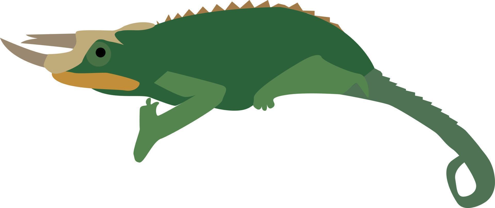 Iguana, illustration, vector on white background.