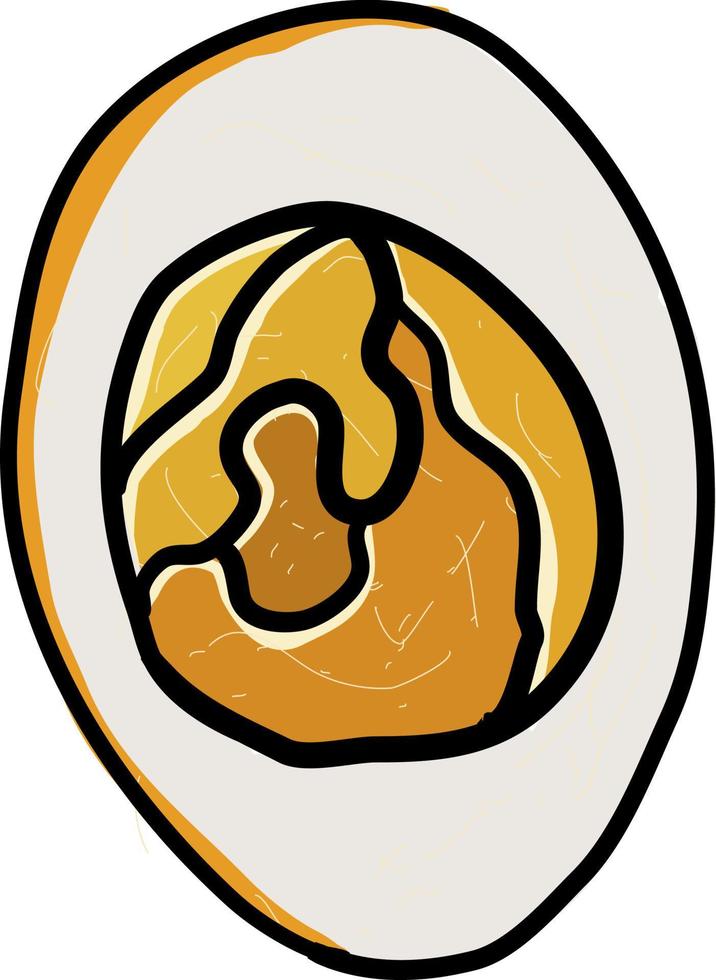 Hard Boiled egg, illustration, vector on white background.