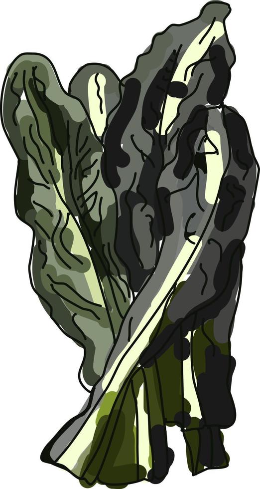 Dinosaur kale, illustration, vector on white background.