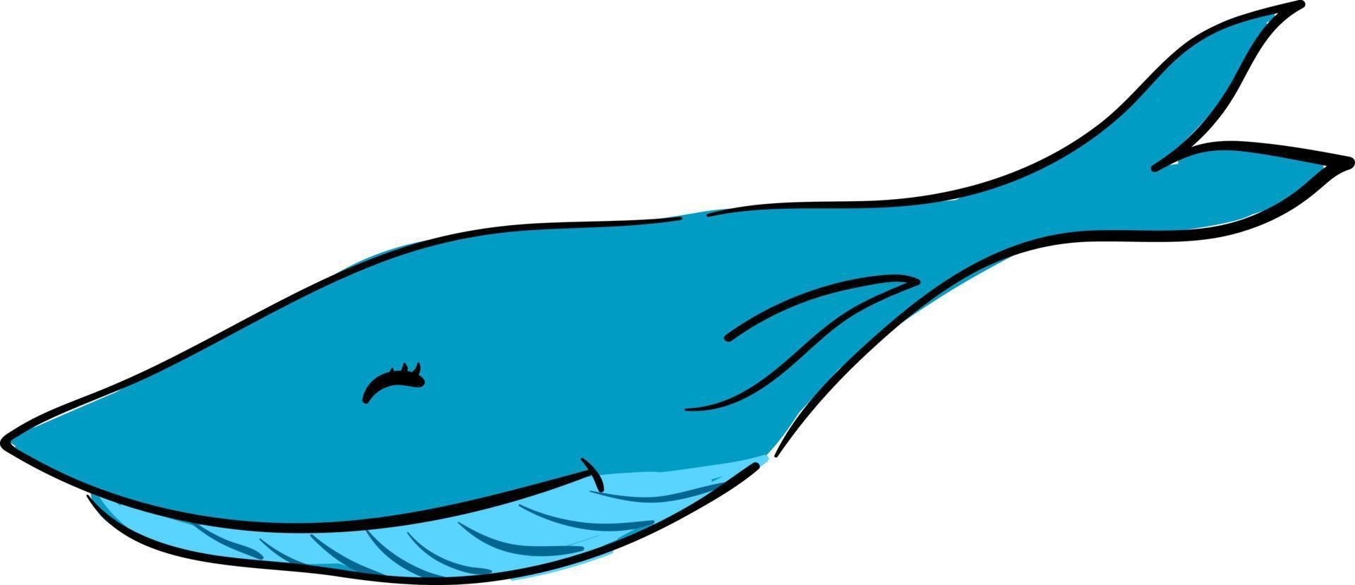 Ballena larga azul feliz, ilustración, vector sobre fondo blanco.