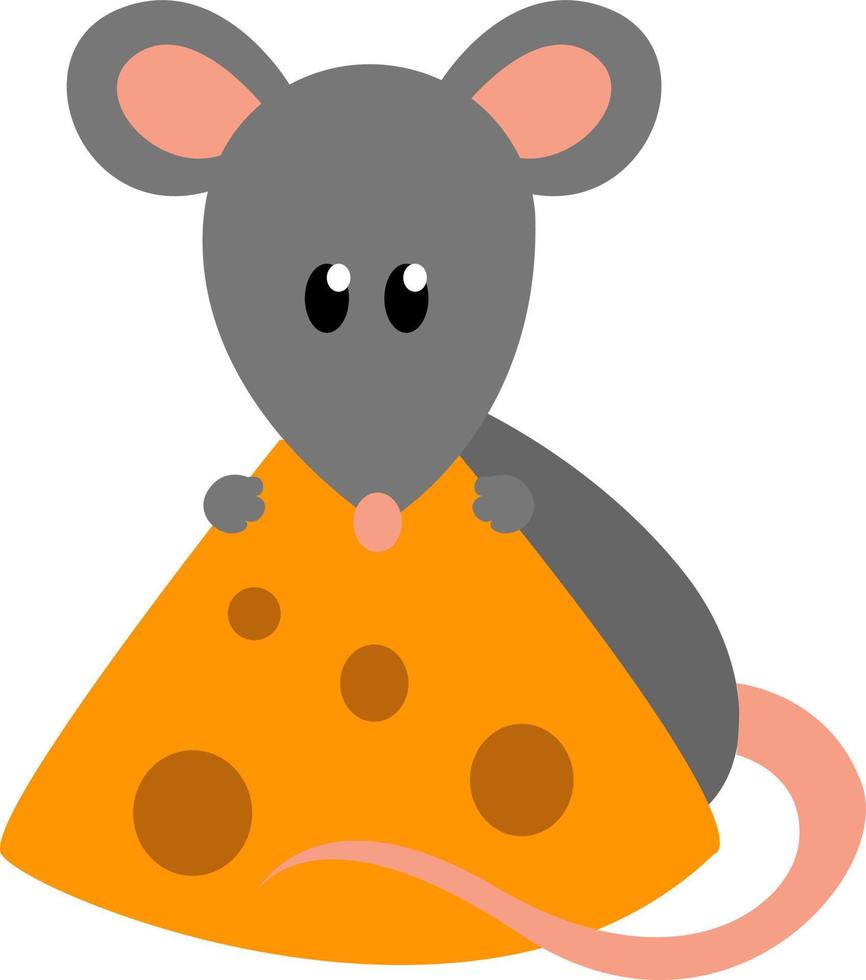 Mouse eating cheese, illustration, vector on white background.
