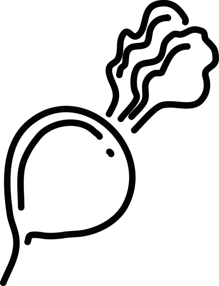 One beetroot, illustration, vector on a white background