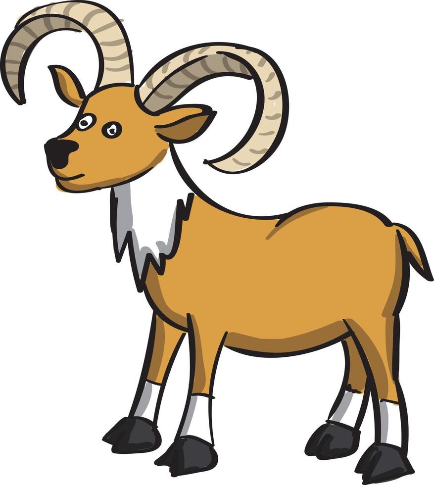 Wild goat, illustration, vector on white background.
