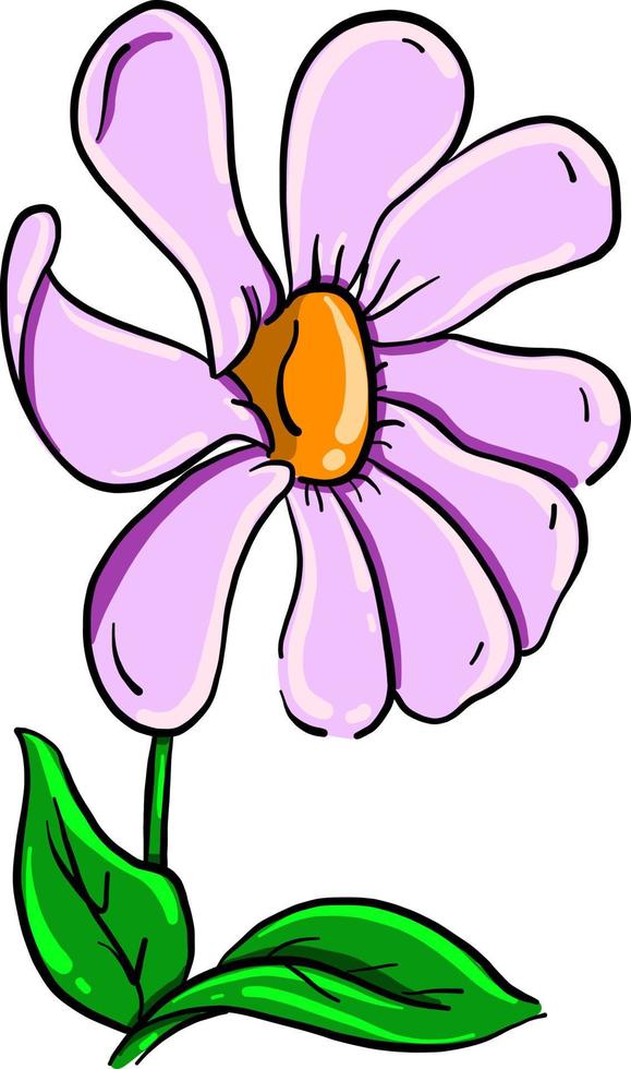 flor morada, ilustración, vector sobre fondo blanco