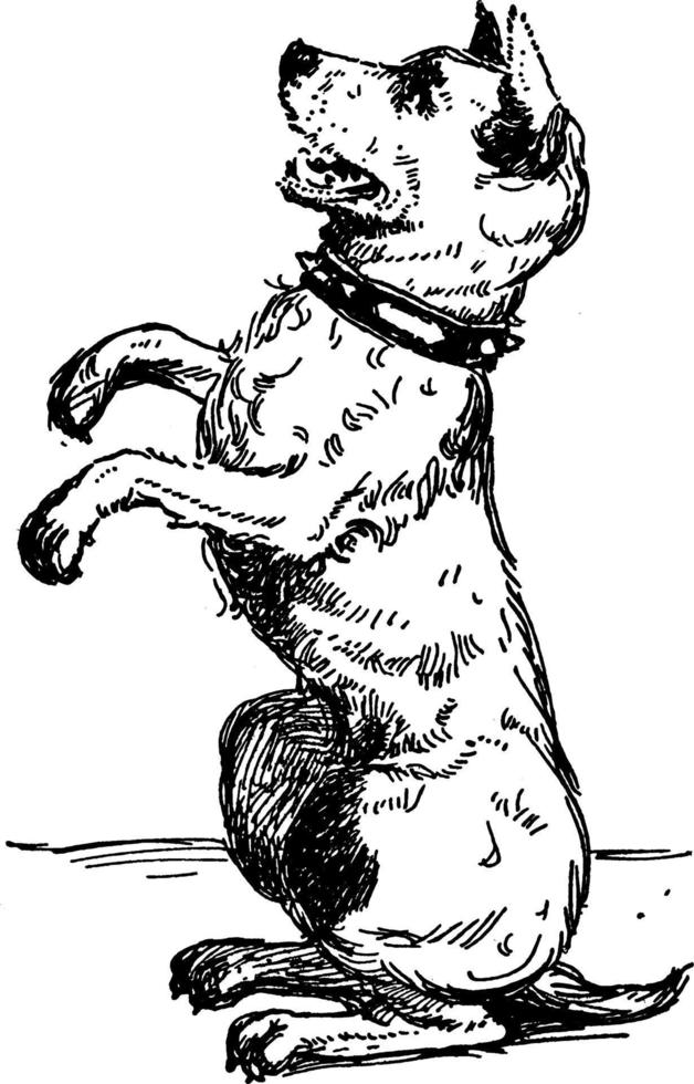 perro, ilustración de época vector