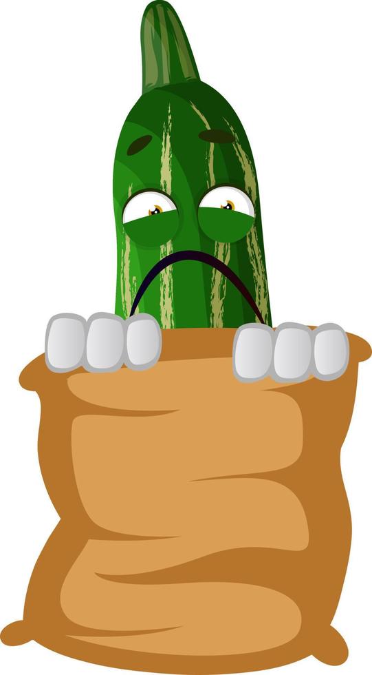 Cucumber in bag, illustration, vector on white background.