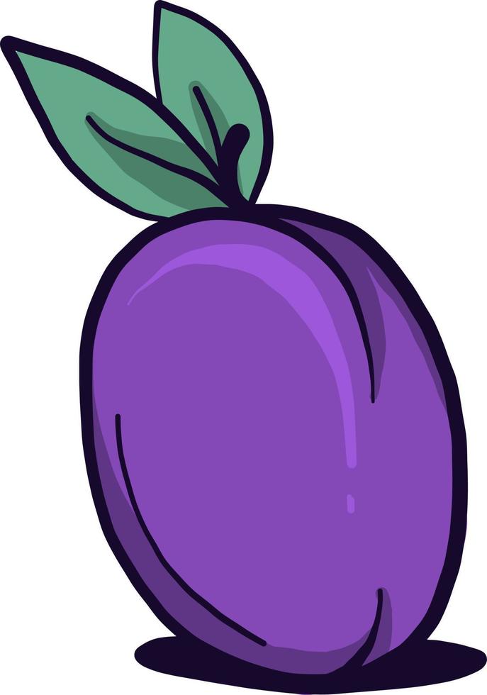 Violet plum, illustration, vector on white background