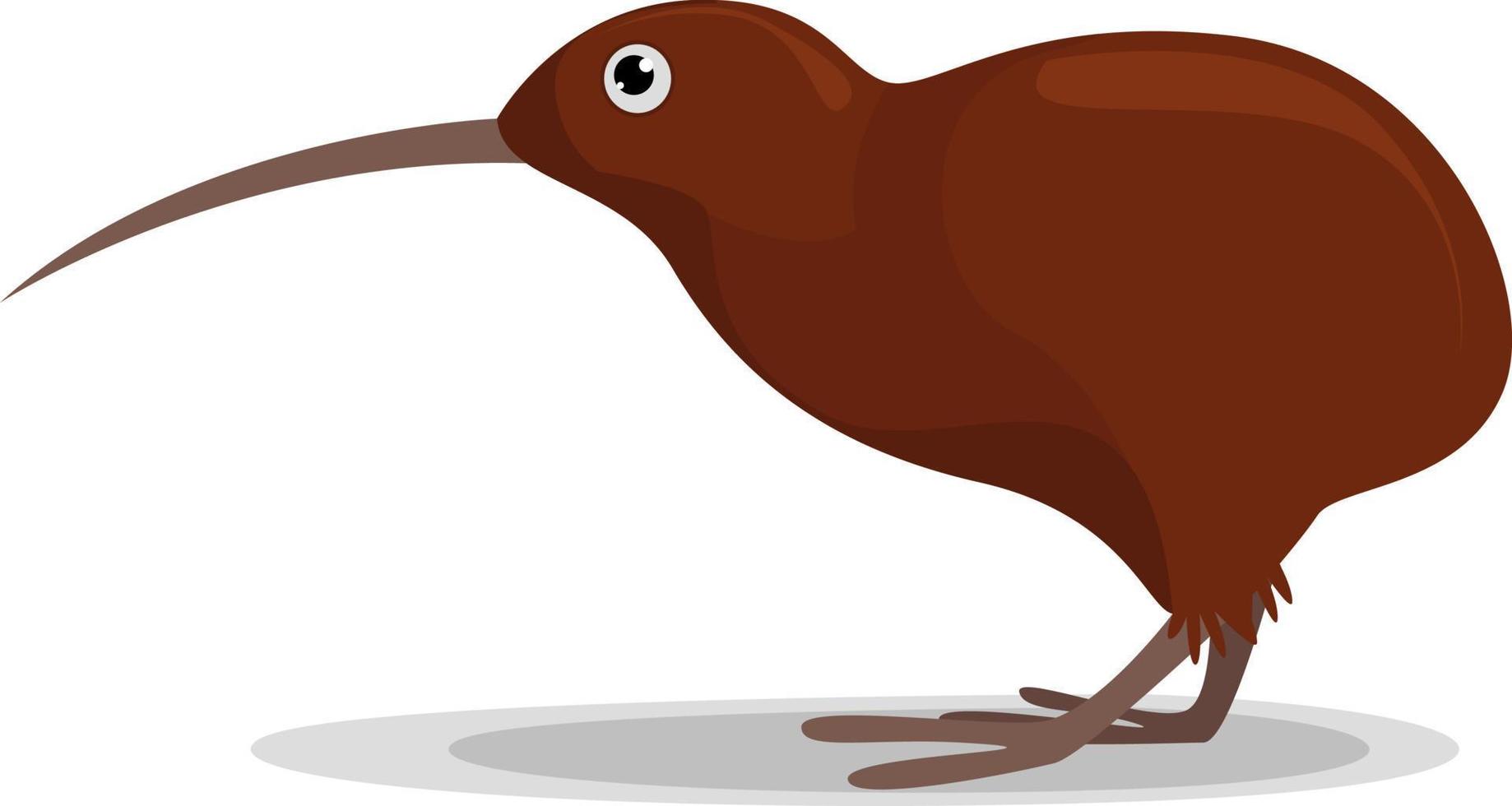 Sad kiwi bird, illustration, vector on white background