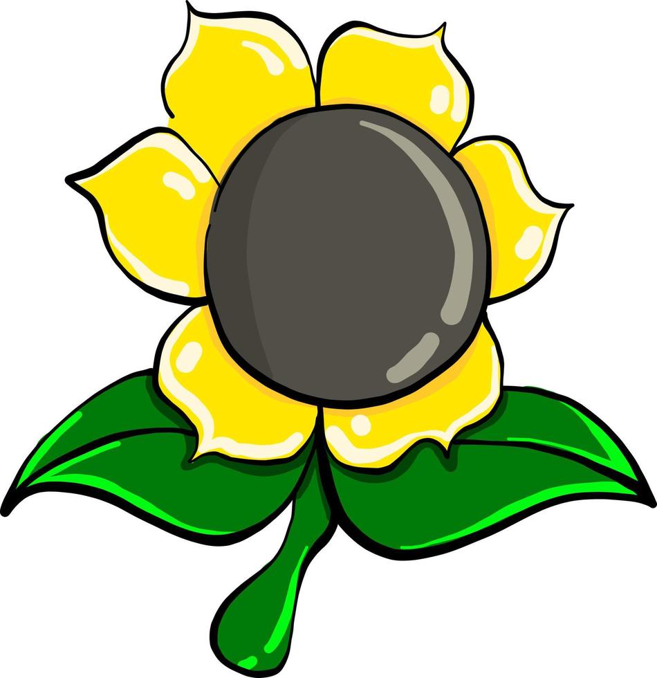 Sunflower drawing, illustration, vector on white background.