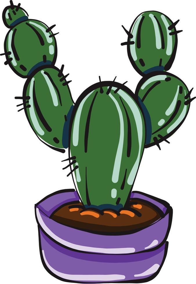 Hermoso cactus, ilustración, vector sobre fondo blanco.