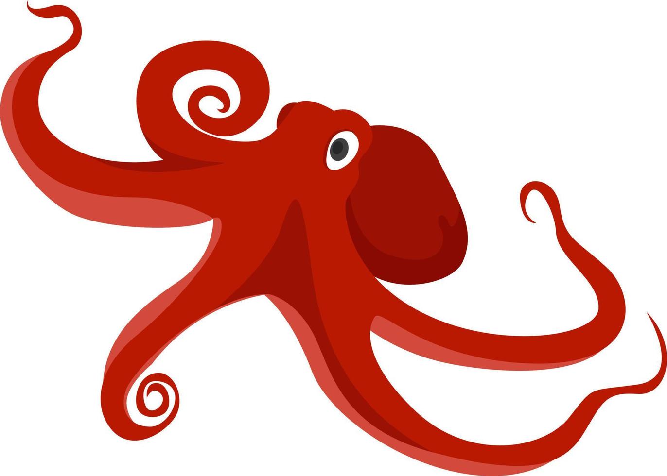 Red octopus, illustration, vector on white background