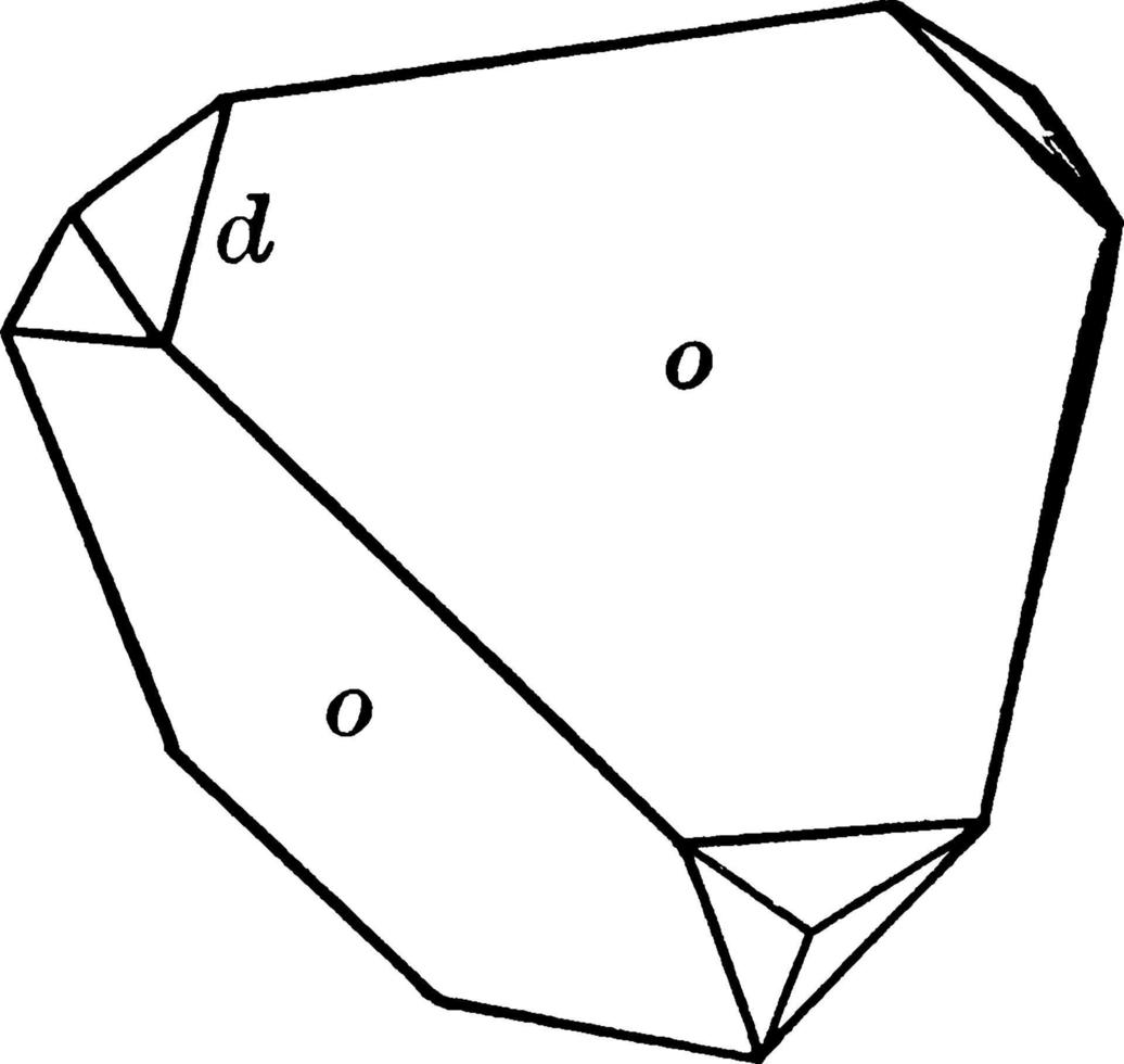 Tetrahedron and dodecahedron, vintage illustration. vector