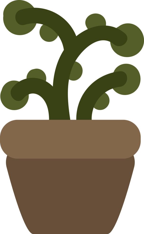 Sweet woodruff, illustration, on a white background. vector