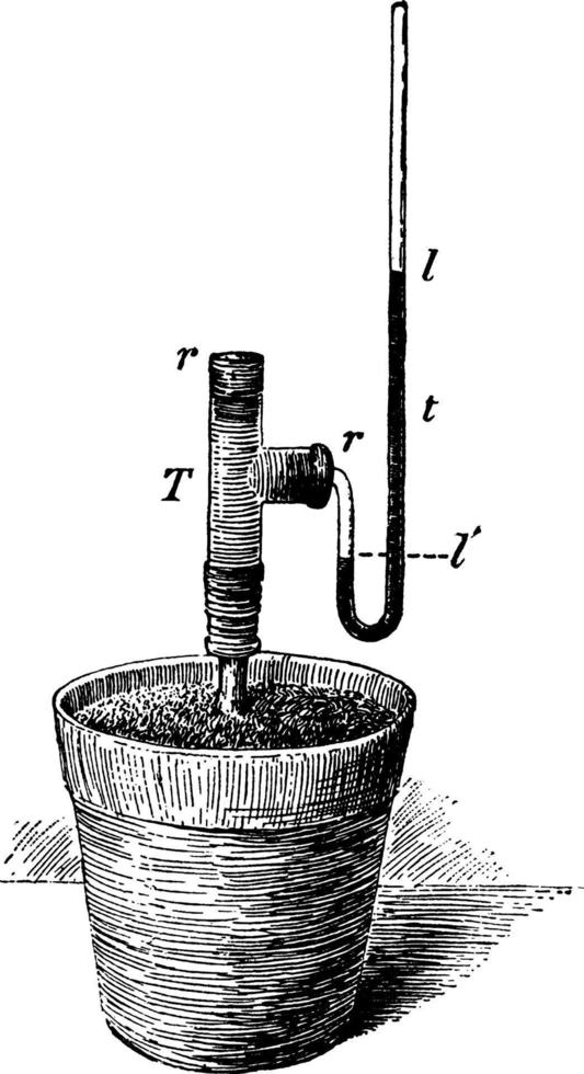 Root Pressure vintage illustration. vector