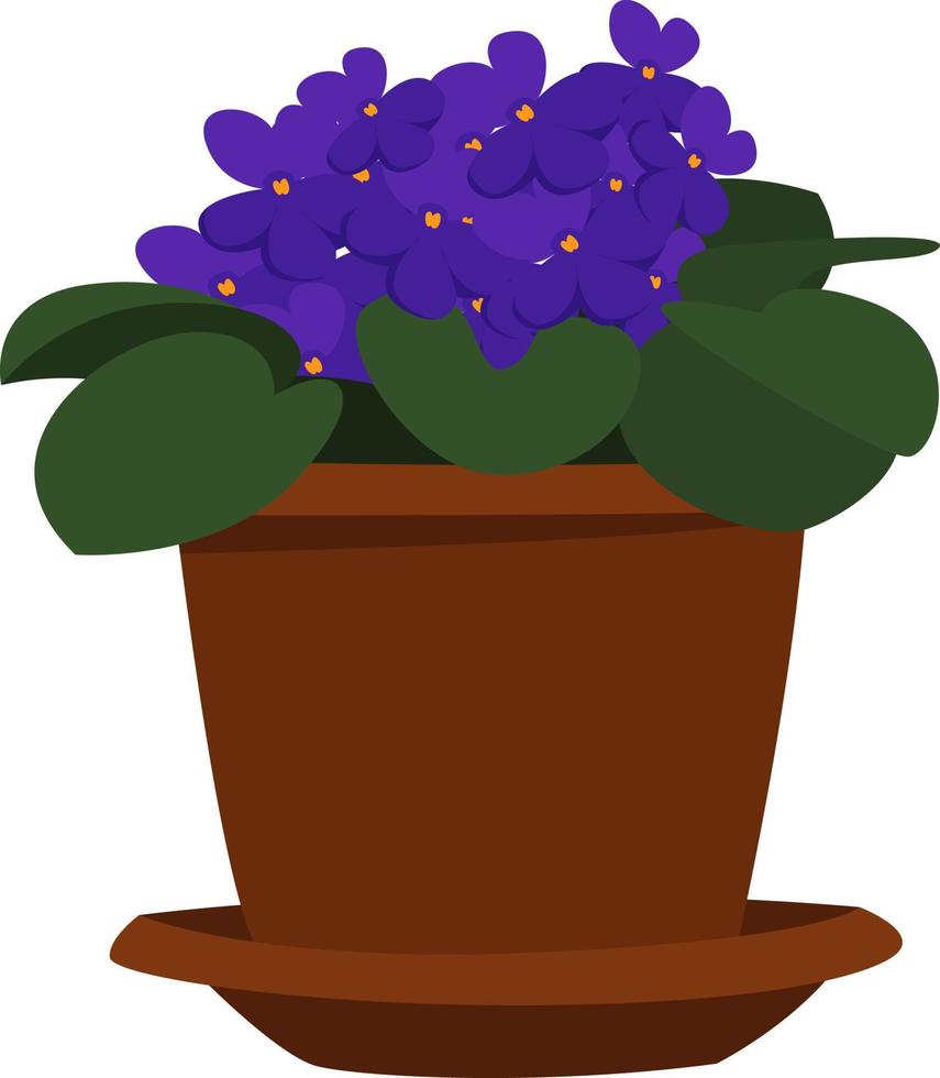 Violets in pot, illustration, vector on white background