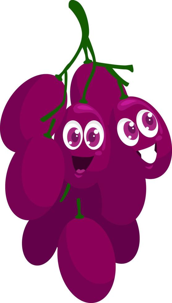 Uvas moradas, ilustración, vector sobre fondo blanco.