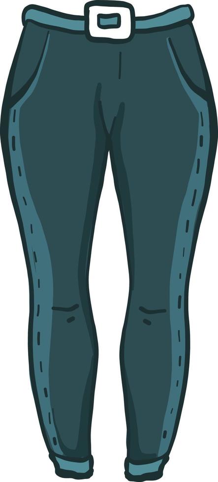 Slim pants for women, illustration, vector on white background.