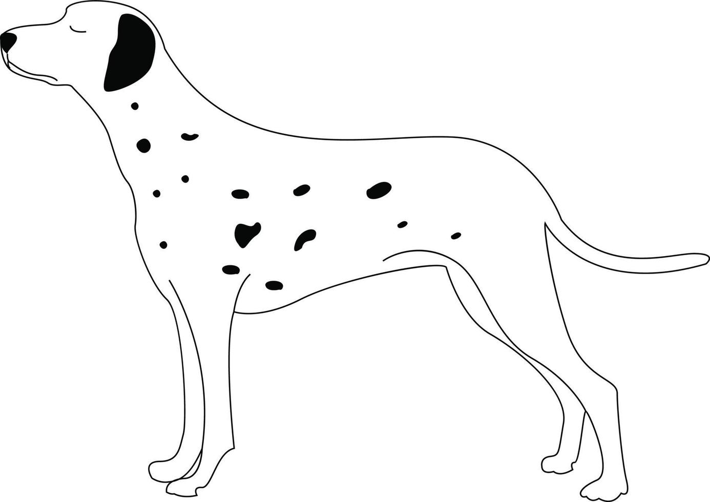 Perro dálmata, ilustración, vector sobre fondo blanco.