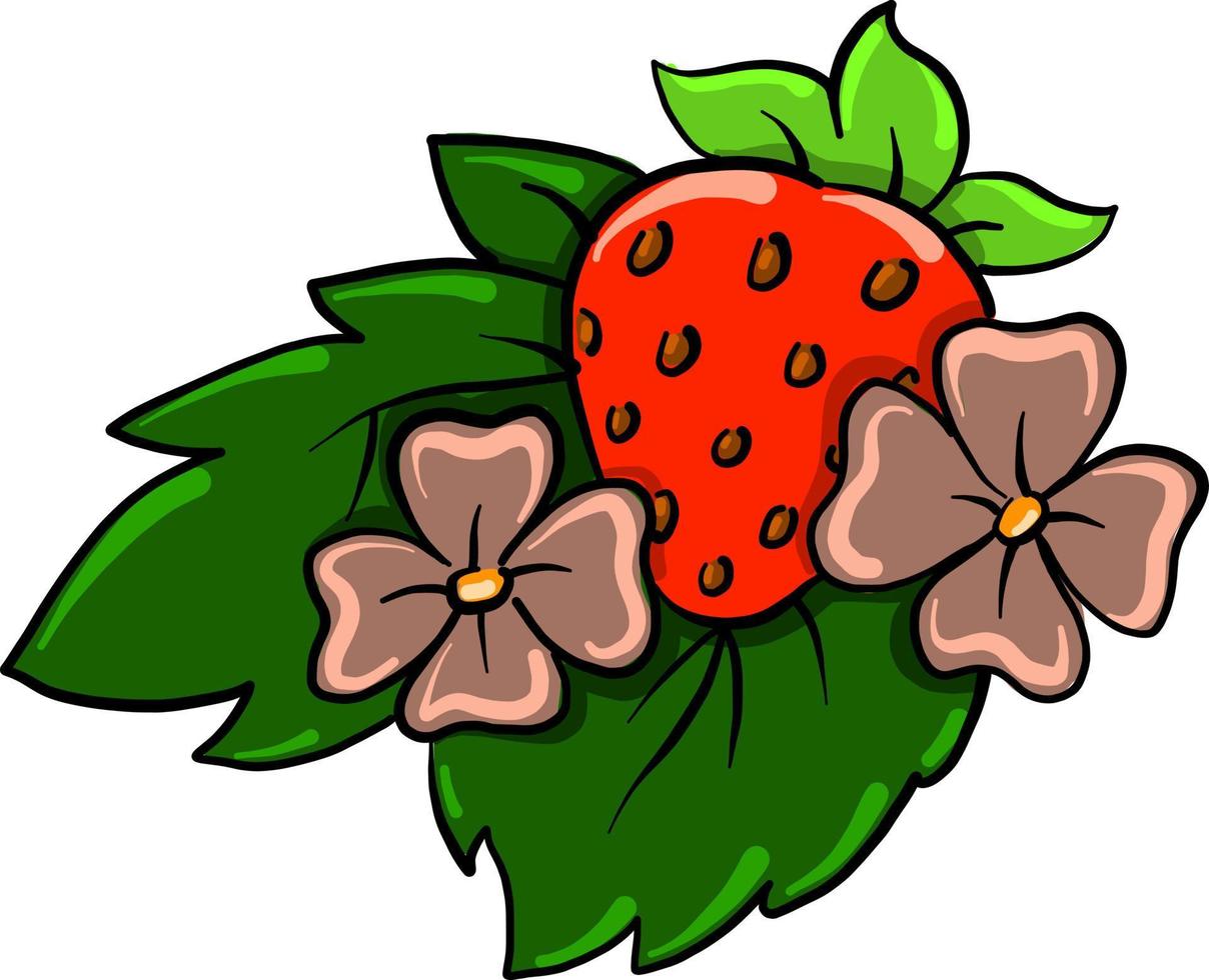 fresa con pétalo, ilustración, vector sobre fondo blanco