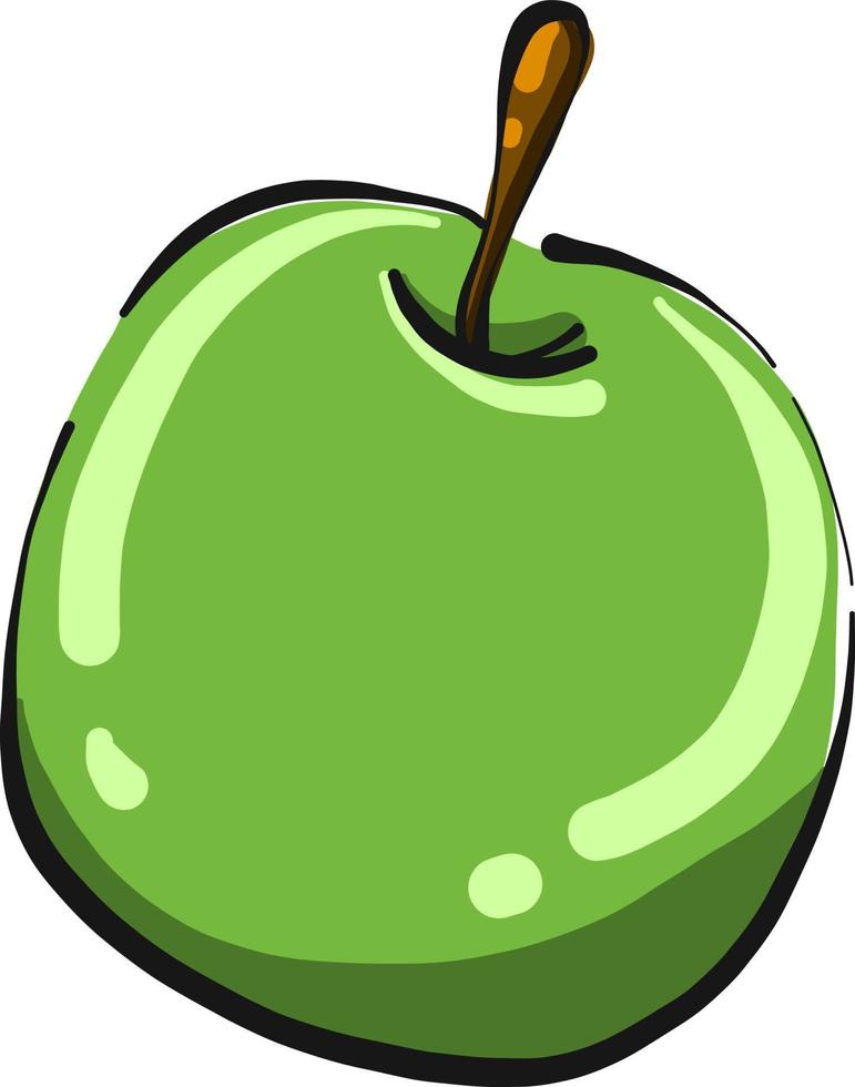 manzana verde,ilustración,vector sobre fondo blanco vector