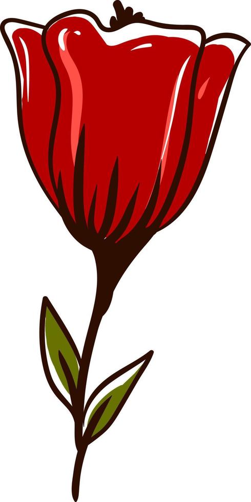 Poppy flower, illustration, vector on white background.