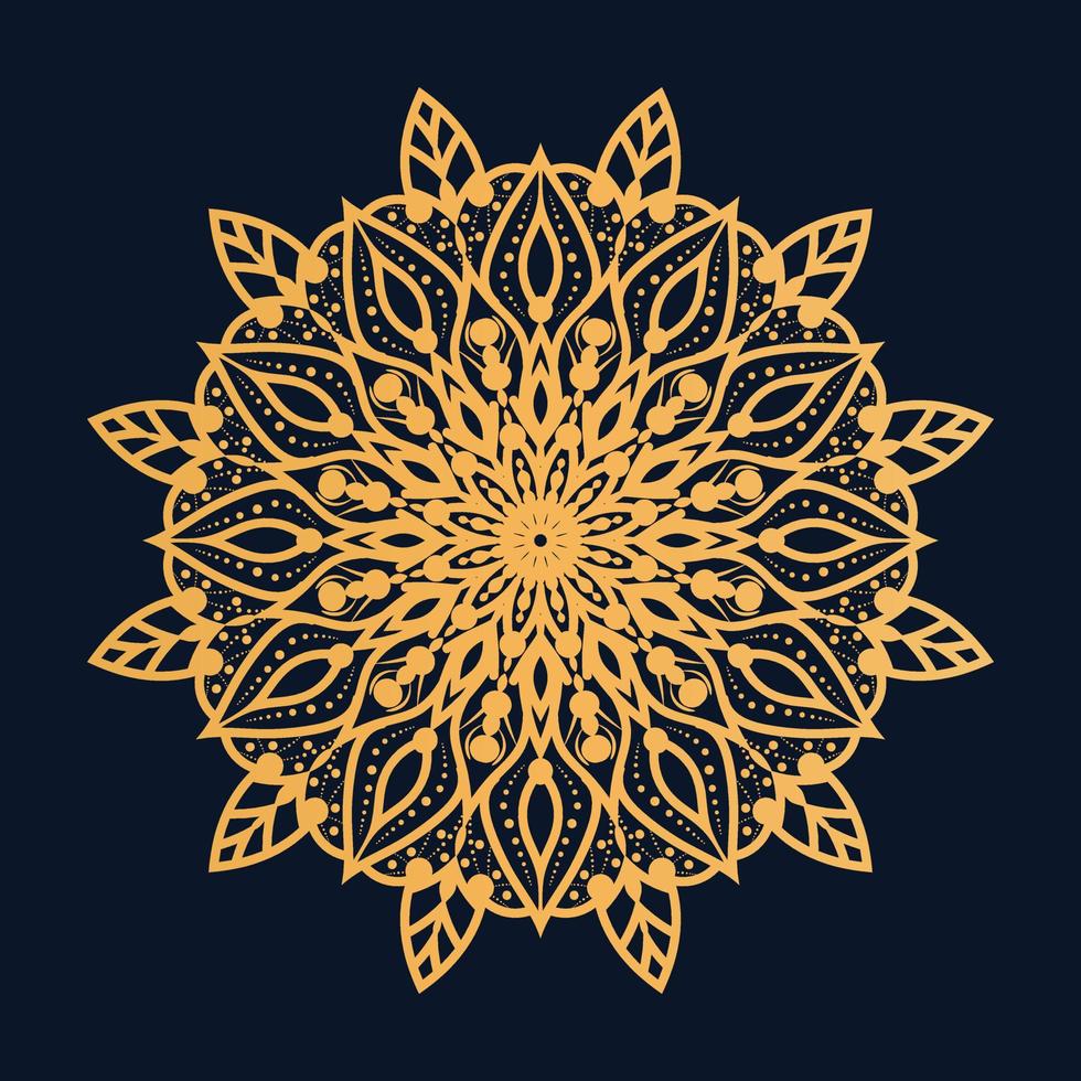 mandala de lujo bd vector