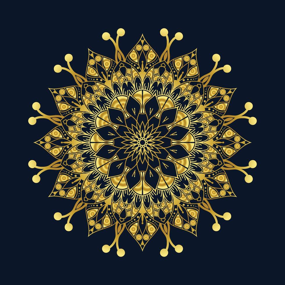 luxury mandala bd vector