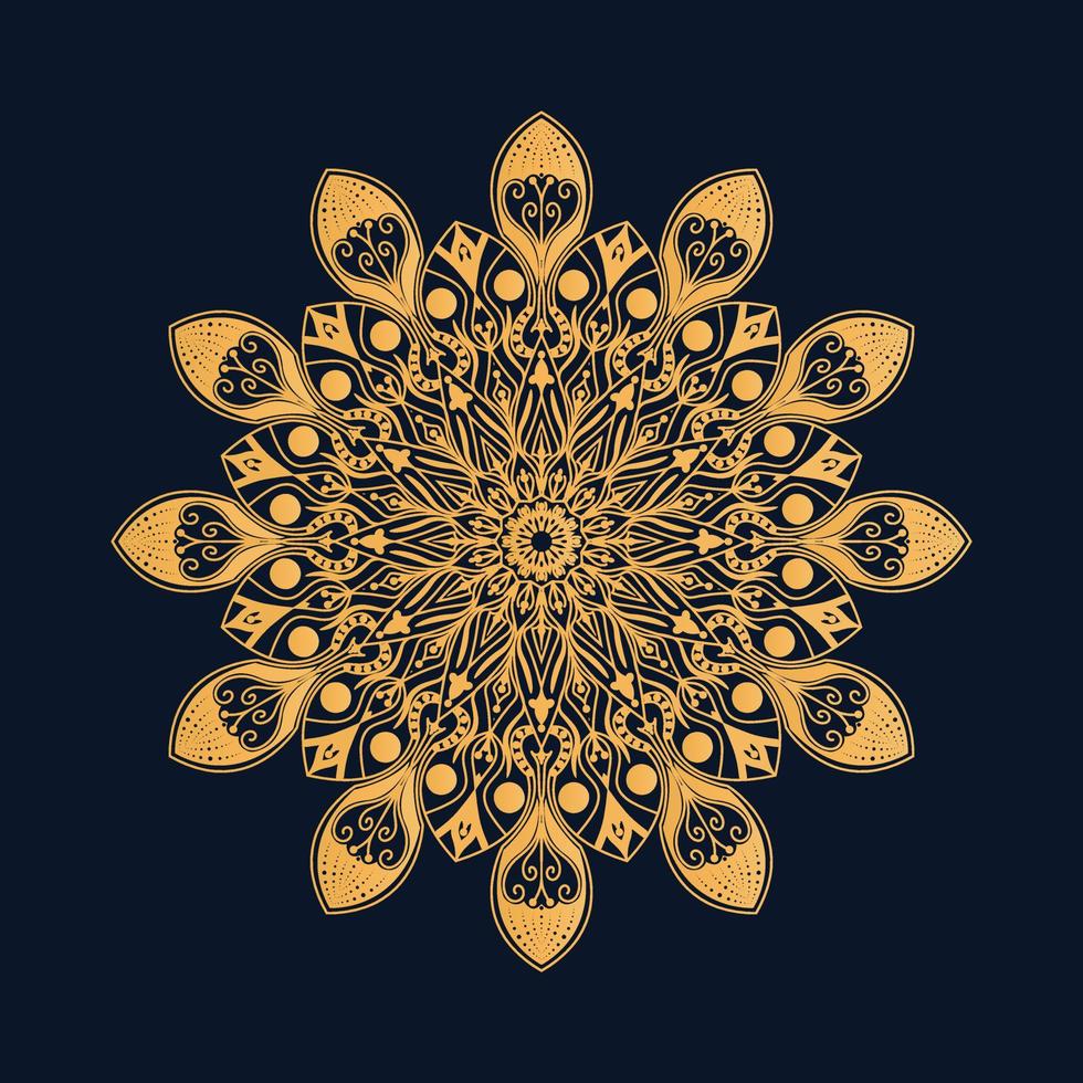 mandala de lujo bd vector