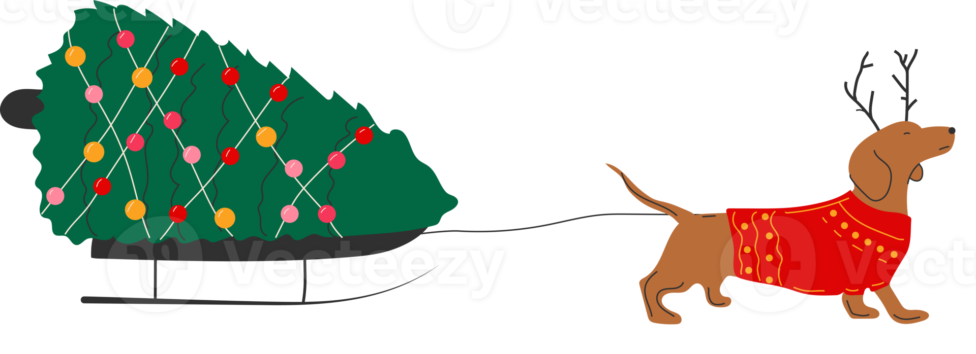 Dachshund dog pulls a Christmas tree on a sleigh  illustration png